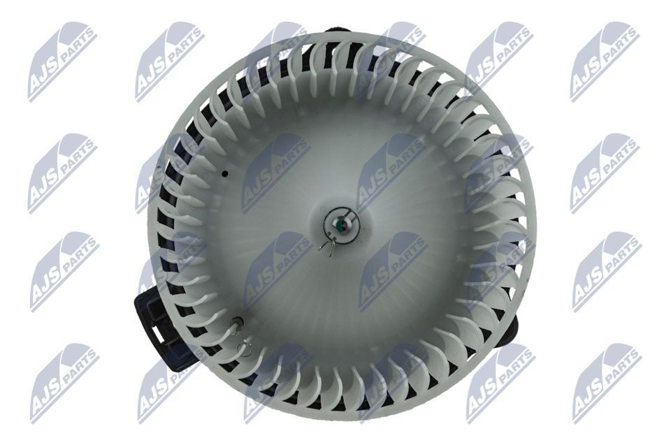 Vidaus pūtiklis NTY EWN-MZ-001