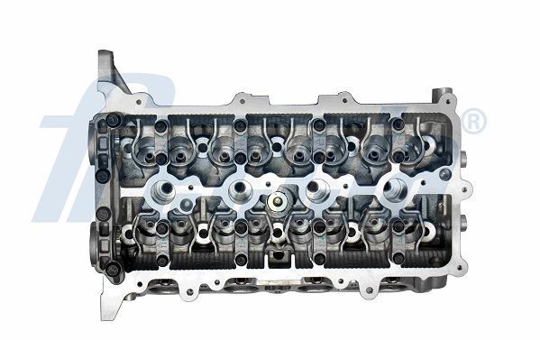 Cilindro galvutė FRECCIA CH17-1013