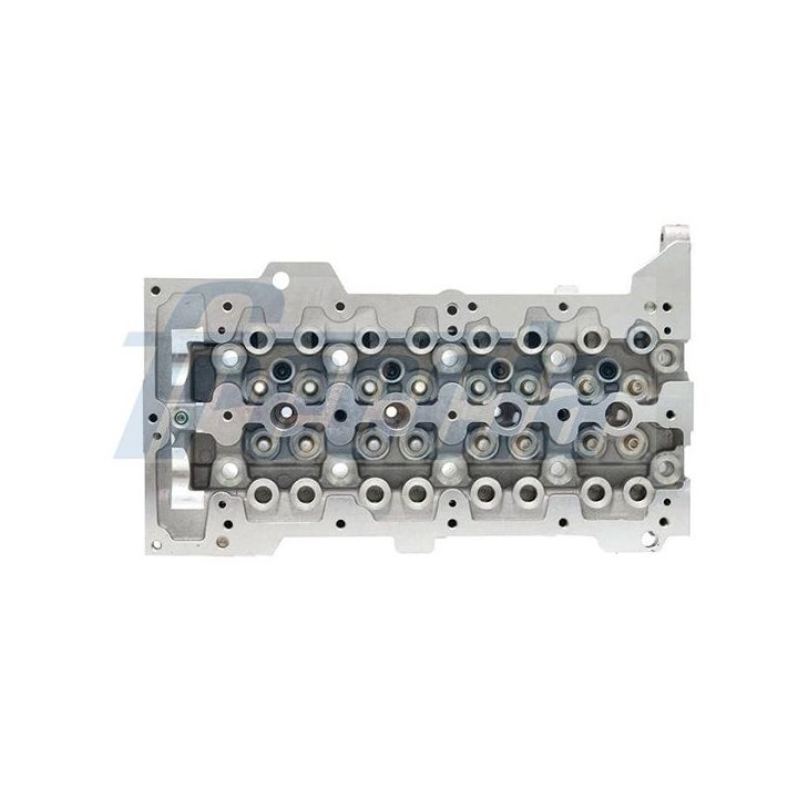 Cilindro galvutė FRECCIA CH17-1019