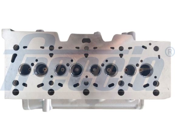 Cilindro galvutė FRECCIA CH17-1022