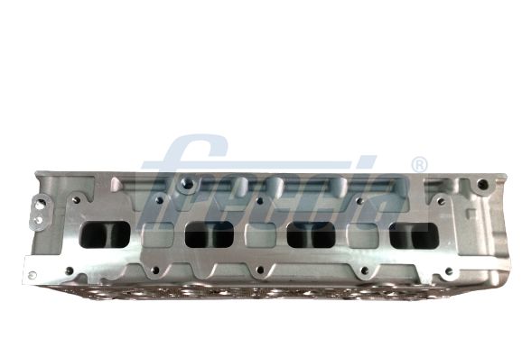 Cilindro galvutė FRECCIA CH17-1029