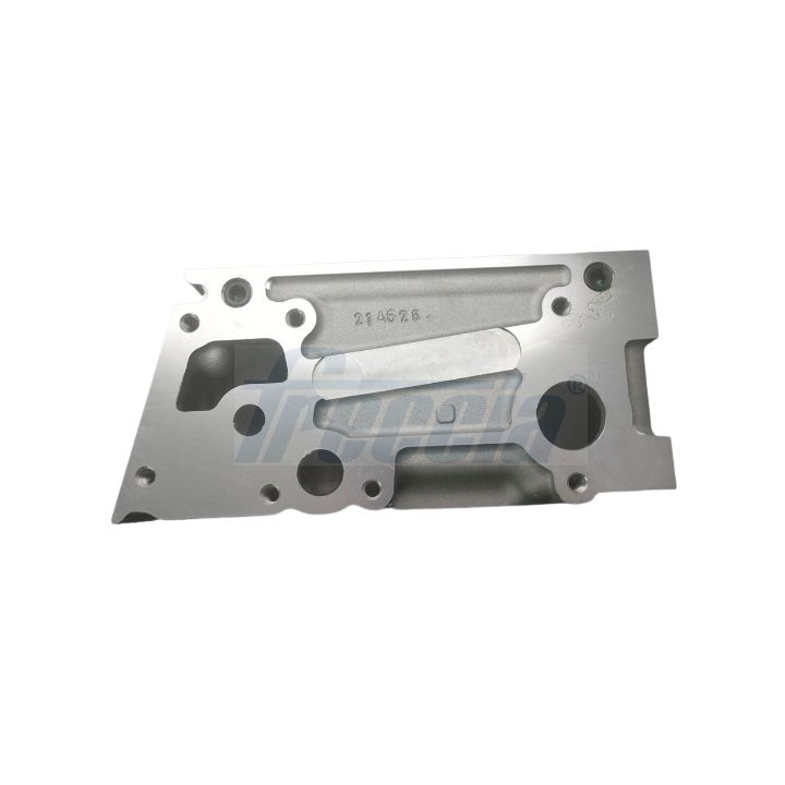 Cilindro galvutė FRECCIA CH17-1033