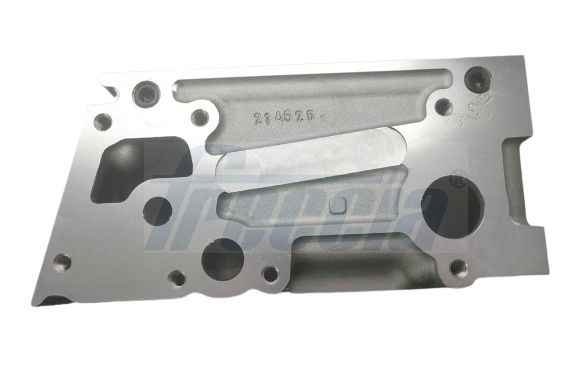 Cilindro galvutė FRECCIA CH17-1033