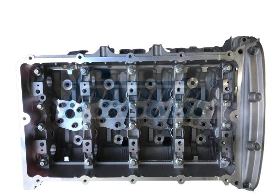 Cilindro galvutė FRECCIA CH17-1037