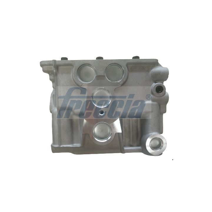 Cilindro galvutė FRECCIA CH17-1046