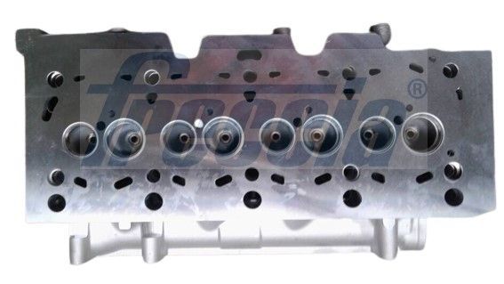 Cilindro galvutė FRECCIA CH17-1059