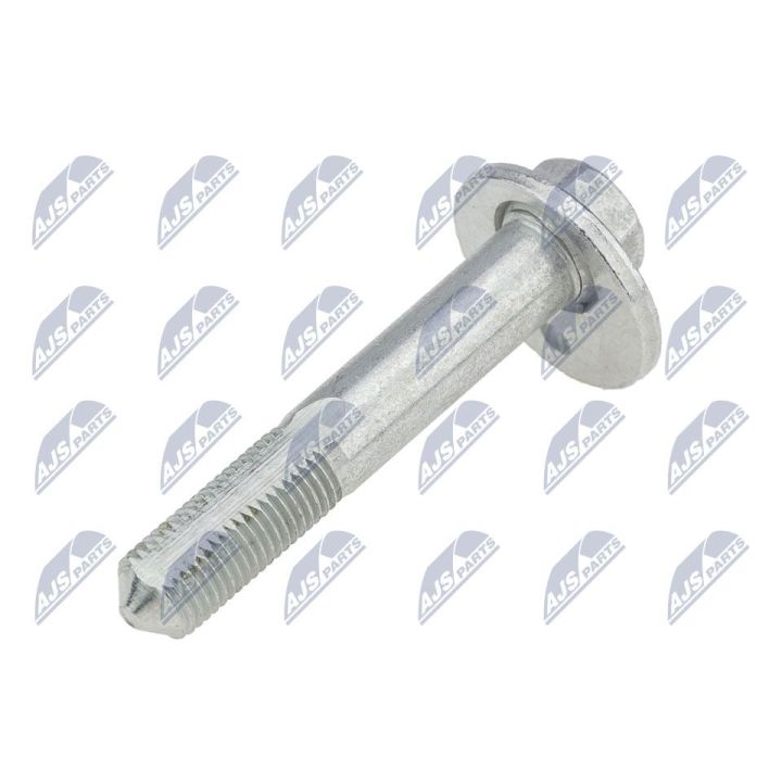 Išvirtimo reguliavimo varžtas NTY ZWT-NS-046S