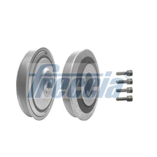 Skriemulys, alkūninis velenas FRECCIA PUL11-106