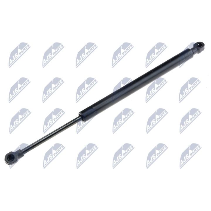 Dujinė spyruoklė, gaubtas NTY AE-FT-025