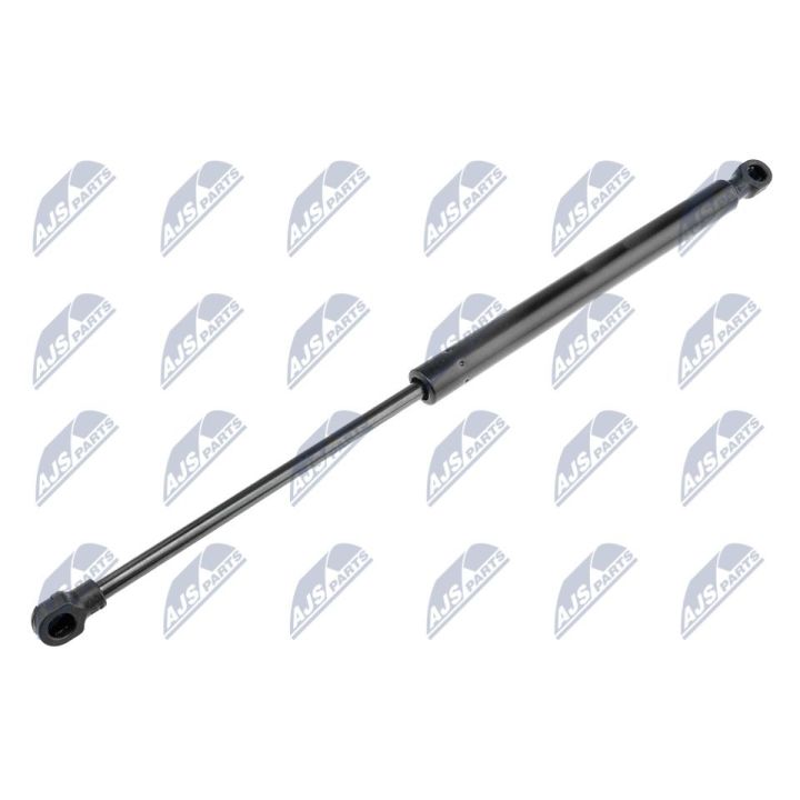 Dujinė spyruoklė, gaubtas NTY AE-LR-000