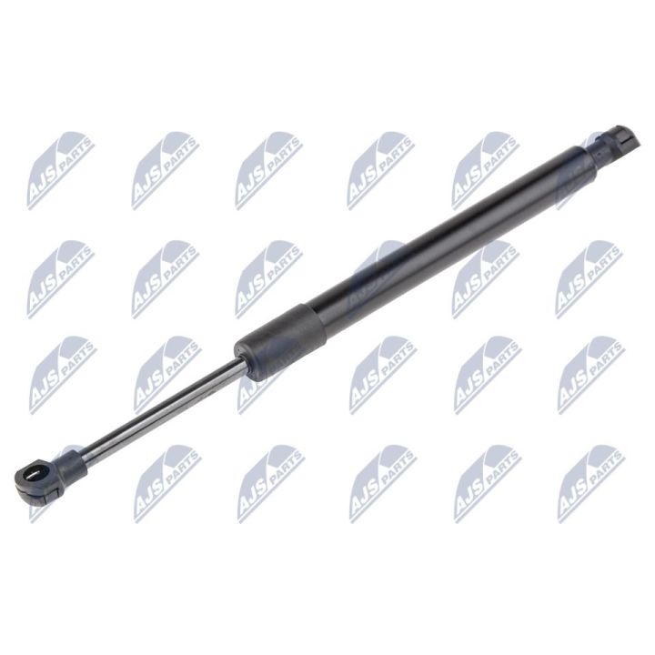 Dujinė spyruoklė, gaubtas NTY AE-RE-066