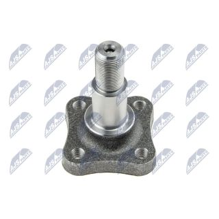 Rato stebulė NTY KLT-NS-071P