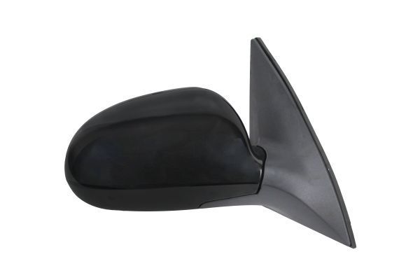 Išorinis veidrodėlis ABAKUS 1513M08