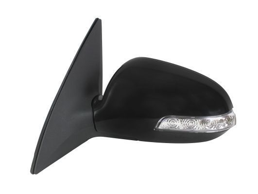 Išorinis veidrodėlis ABAKUS 1513M09