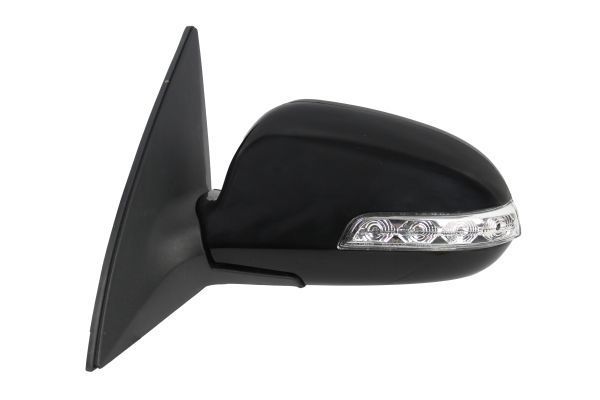 Išorinis veidrodėlis ABAKUS 1513M11