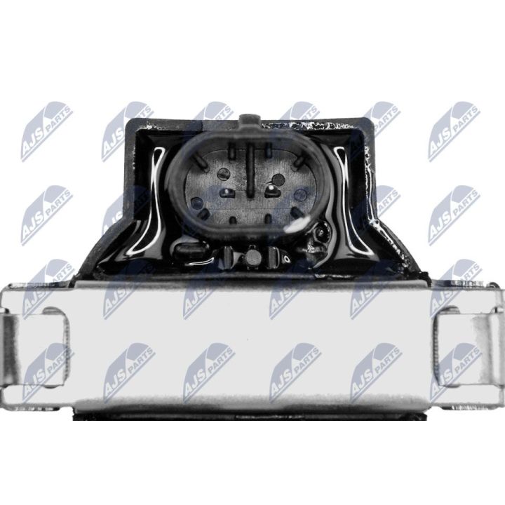 Ritė, uždegimas NTY ECZ-AR-004