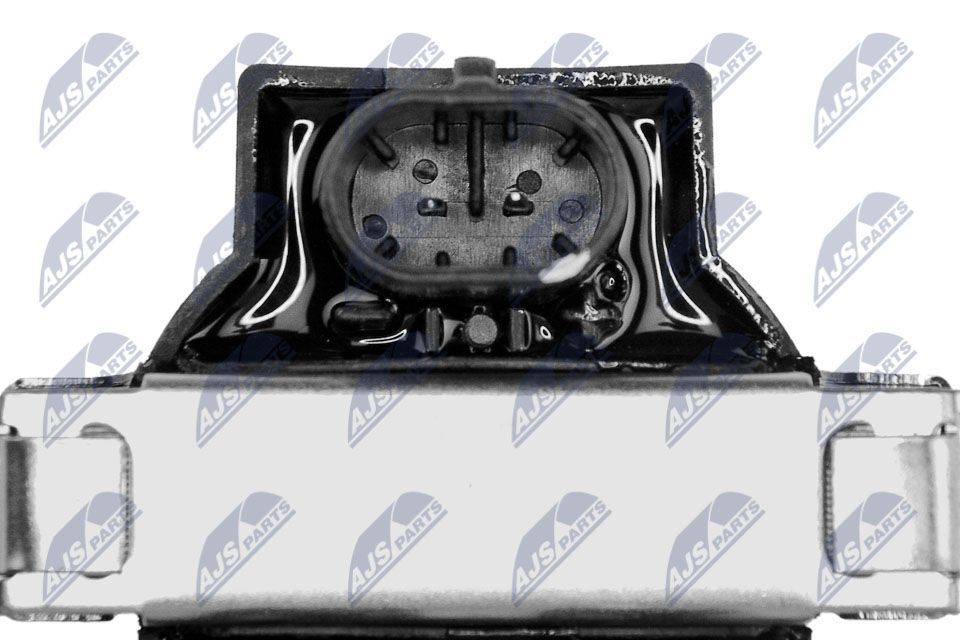 Ritė, uždegimas NTY ECZ-AR-004