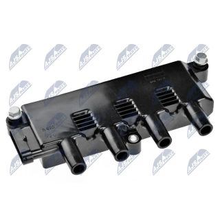 Ritė, uždegimas NTY ECZ-AR-005