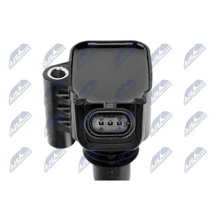 Ritė, uždegimas NTY ECZ-AR-006