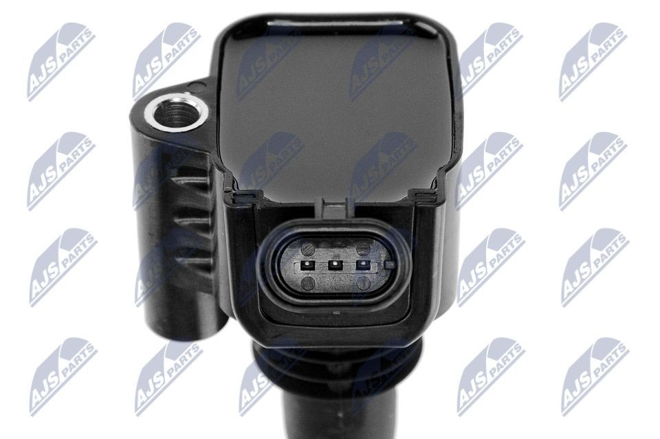 Ritė, uždegimas NTY ECZ-AR-006