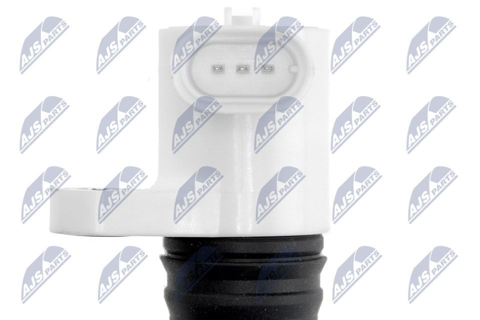 Ritė, uždegimas NTY ECZ-AR-008