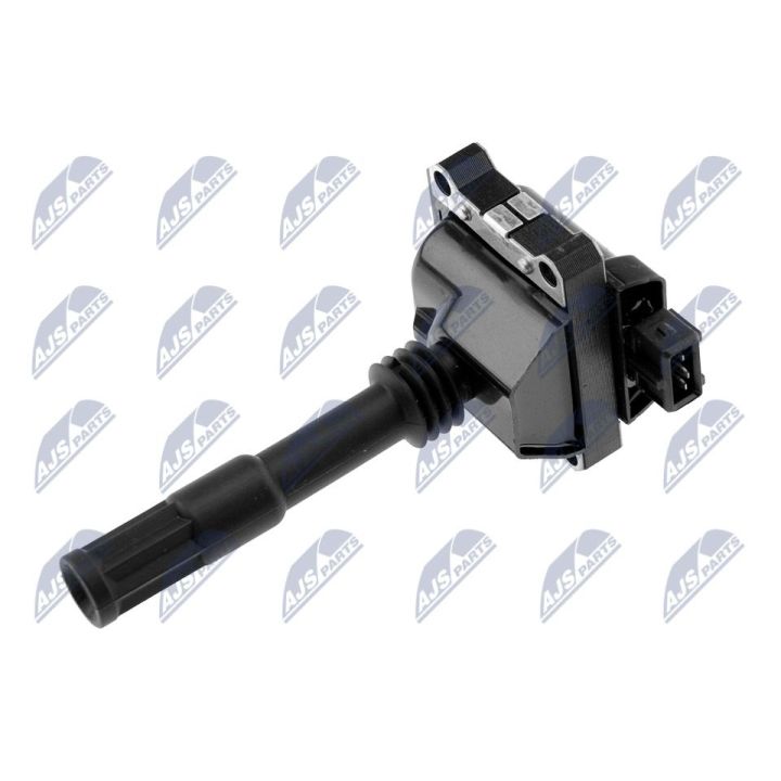 Ritė, uždegimas NTY ECZ-AR-011