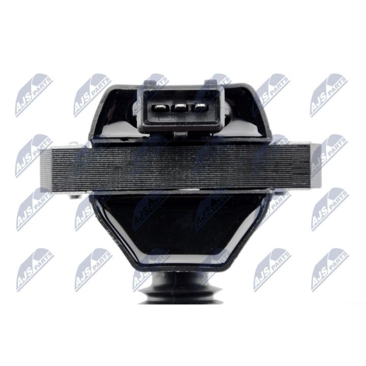 Ritė, uždegimas NTY ECZ-AR-011