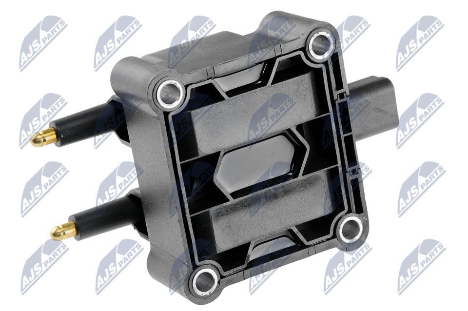 Ritė, uždegimas NTY ECZ-BM-009