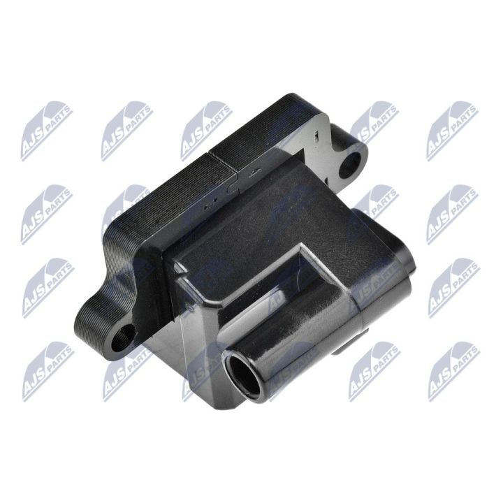 Ritė, uždegimas NTY ECZ-CH-011