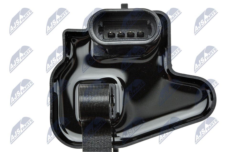 Ritė, uždegimas NTY ECZ-CH-011