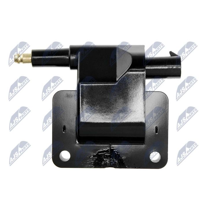 Ritė, uždegimas NTY ECZ-CH-015