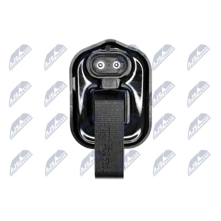 Ritė, uždegimas NTY ECZ-CH-015