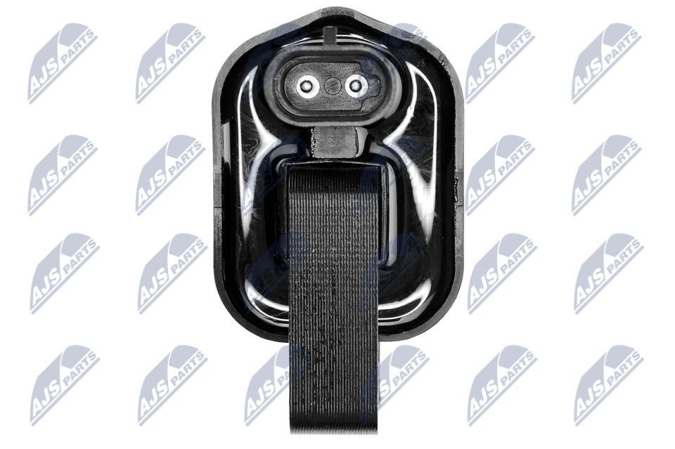 Ritė, uždegimas NTY ECZ-CH-015