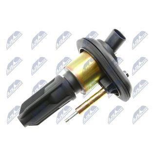 Ritė, uždegimas NTY ECZ-CH-022