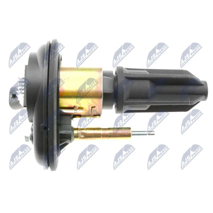 Ritė, uždegimas NTY ECZ-CH-022