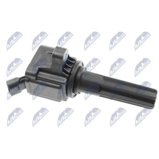 Ritė, uždegimas NTY ECZ-CH-024