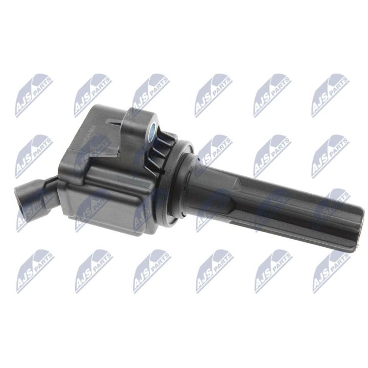 Ritė, uždegimas NTY ECZ-CH-024