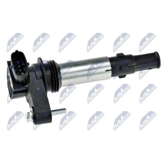 Ritė, uždegimas NTY ECZ-CH-025