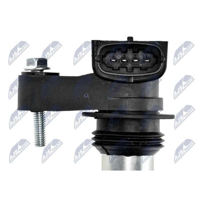 Ritė, uždegimas NTY ECZ-CH-025