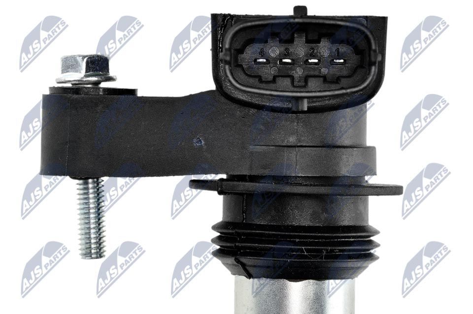 Ritė, uždegimas NTY ECZ-CH-025