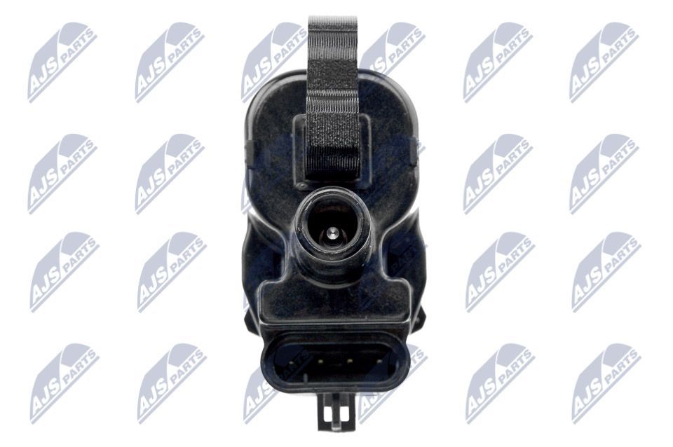 Ritė, uždegimas NTY ECZ-CH-028