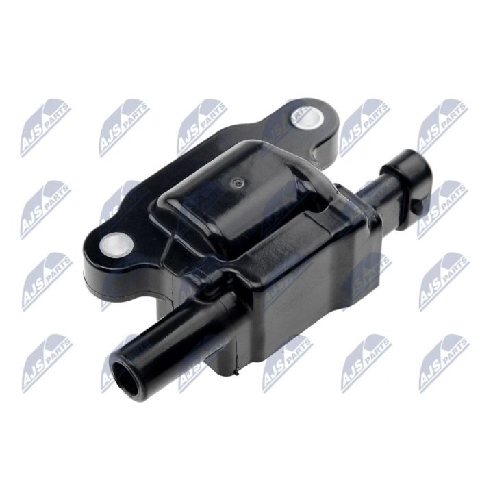 Ritė, uždegimas NTY ECZ-CH-031