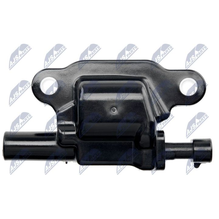 Ritė, uždegimas NTY ECZ-CH-031