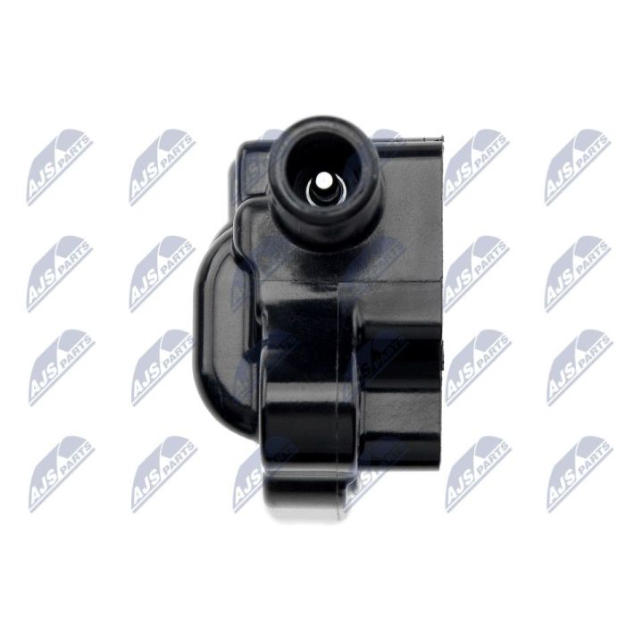 Ritė, uždegimas NTY ECZ-CH-031