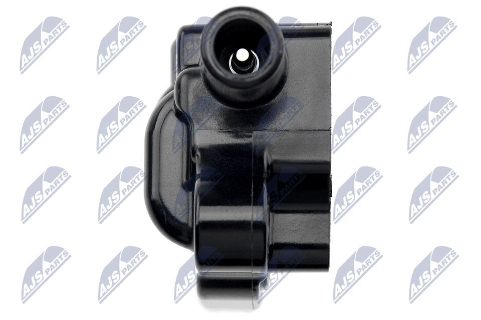 Ritė, uždegimas NTY ECZ-CH-031