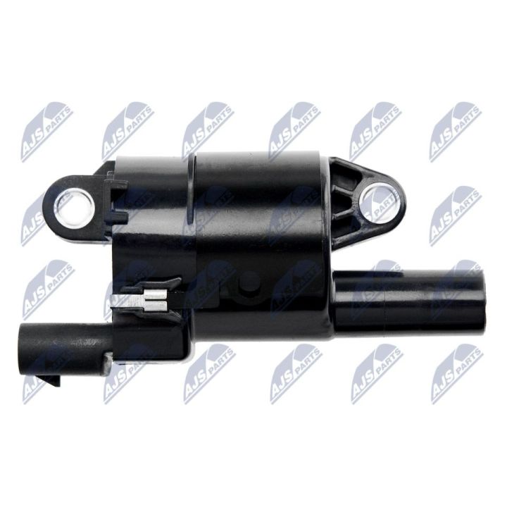 Ritė, uždegimas NTY ECZ-CH-032