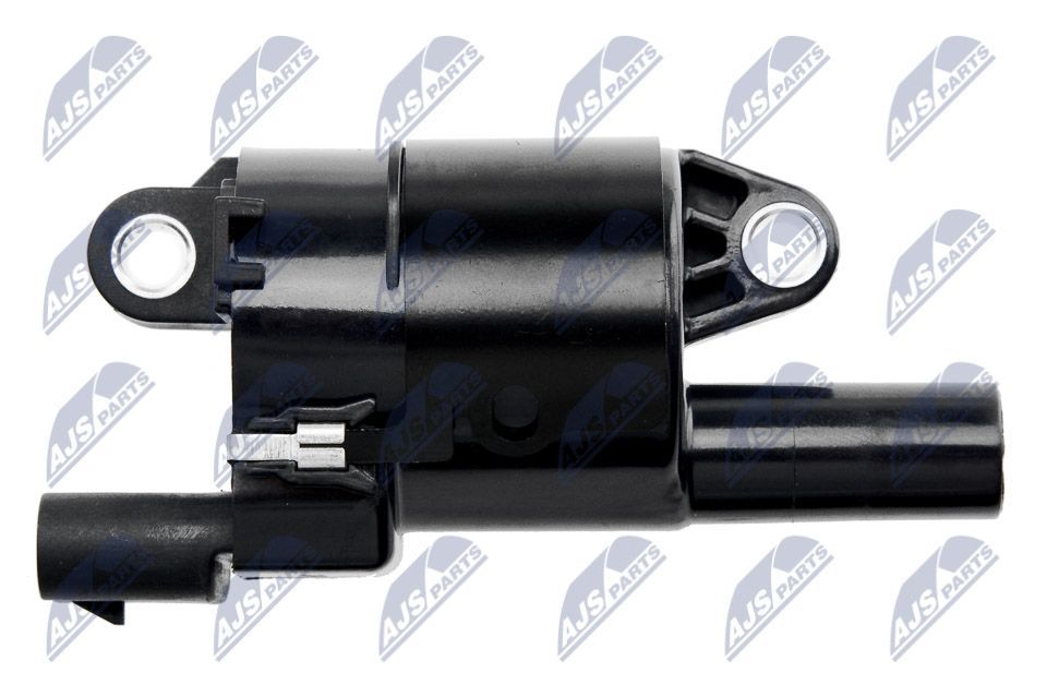 Ritė, uždegimas NTY ECZ-CH-032