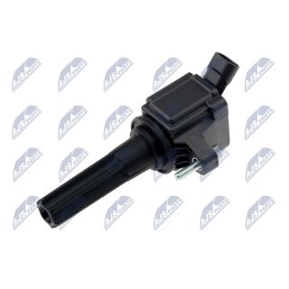 Ritė, uždegimas NTY ECZ-CH-034