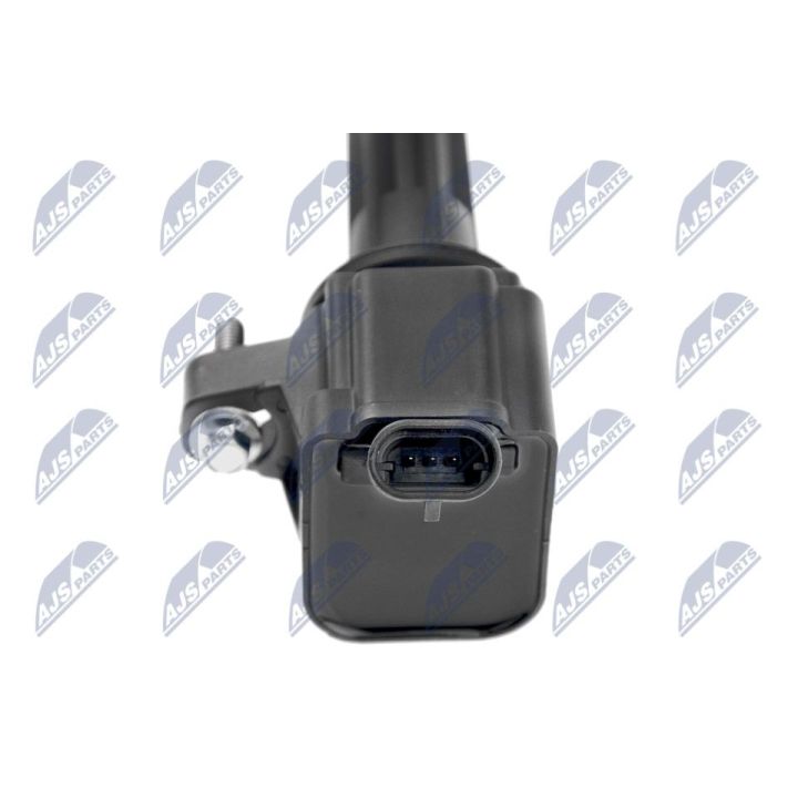 Ritė, uždegimas NTY ECZ-CH-034