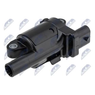 Ritė, uždegimas NTY ECZ-CH-036